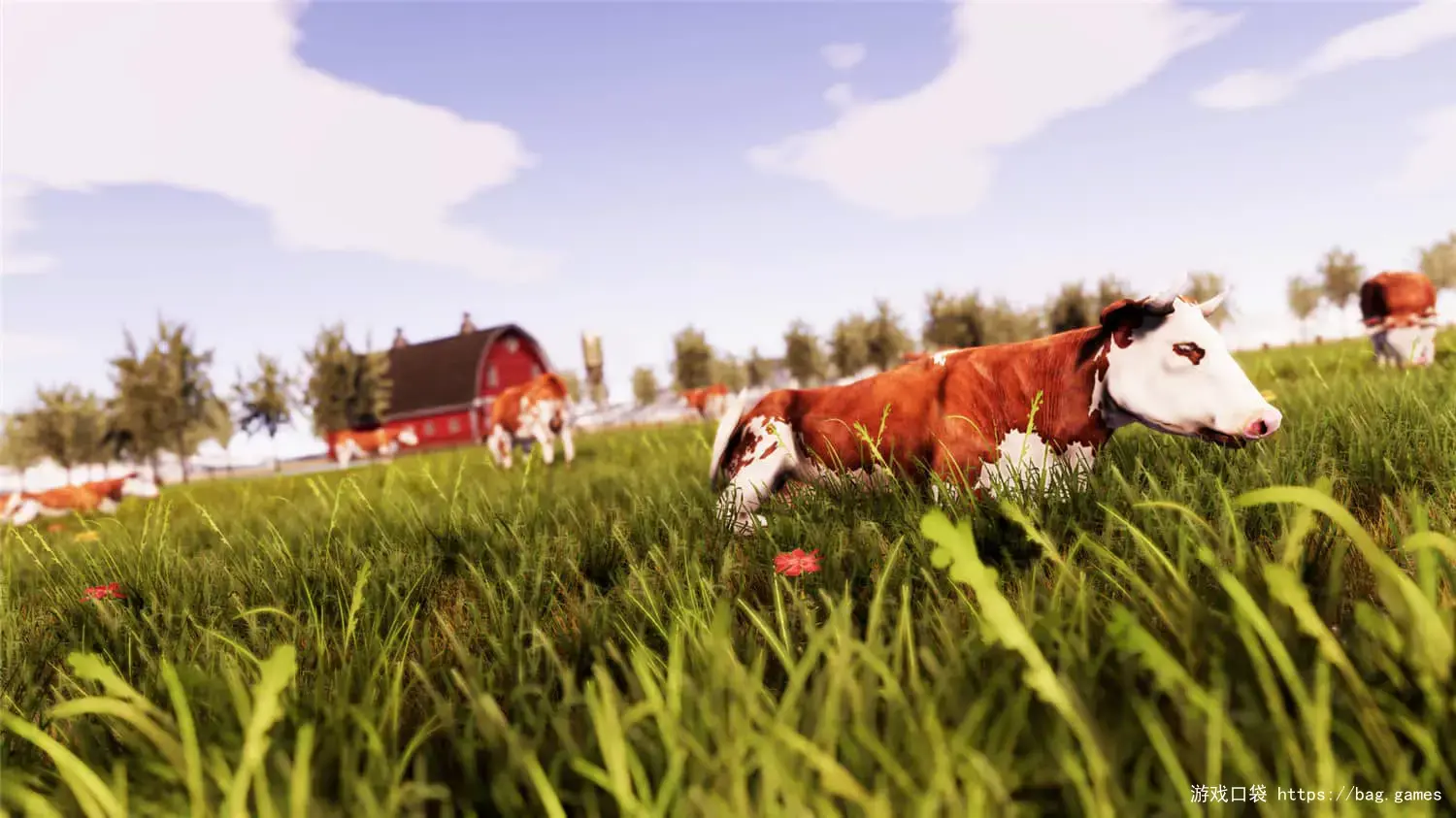 《真实农场：黄金版/Real Farm - Gold Edition》免安装中文版|迅雷百度云下载