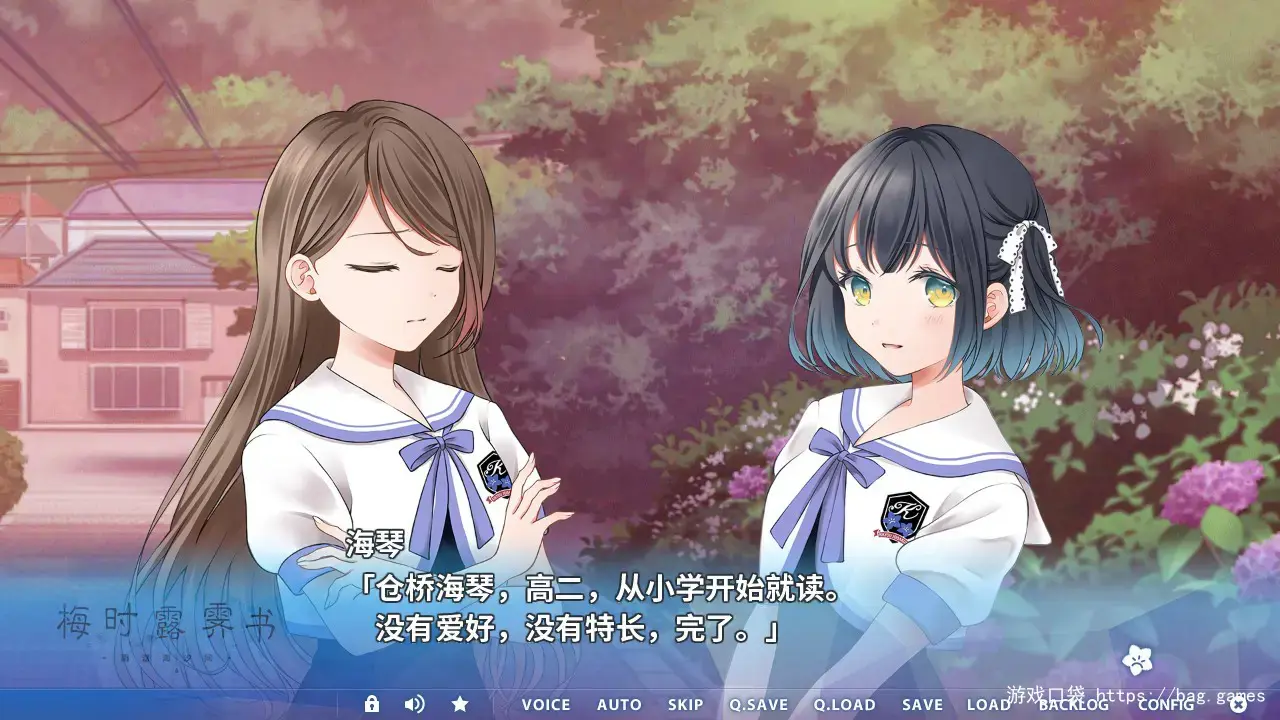 《梅时露霁书~雨潺海汐间~/Letters From a Rainy Day -Oceans and Lace-》免安装中文版