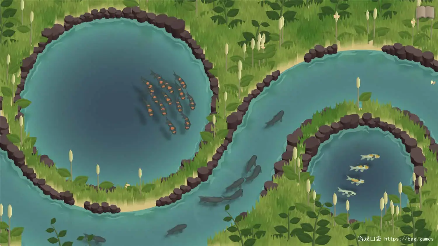 《锦鲤养殖场/Koi Farm》游戏截图